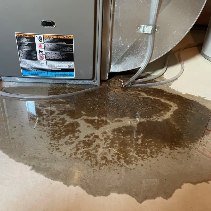 Appliance Leak Cleanup in Hemby Bridge, NC